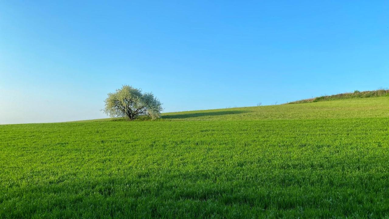 Agriturismo Albana Кастельони деле Стивиере Екстериор снимка